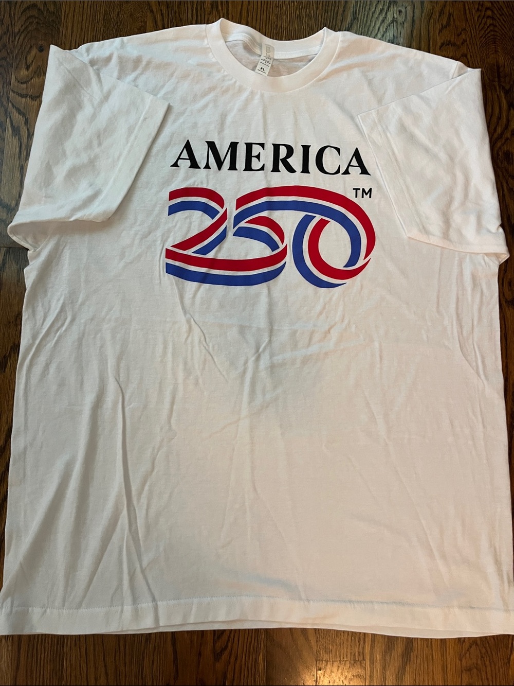 Gildan White Short-Sleeve Tee with Red and Blue America 250 Graphic